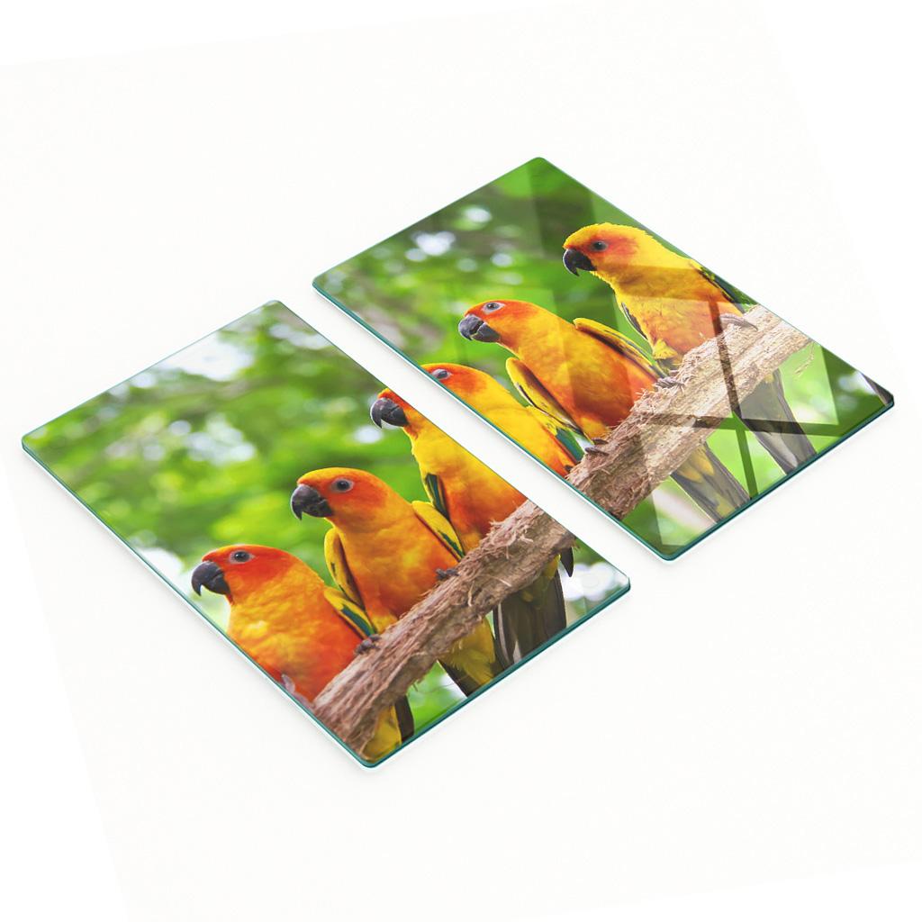 Set of Two Decorative Glass Kitchen Boards Parrot Branch 2X30X52 Cm