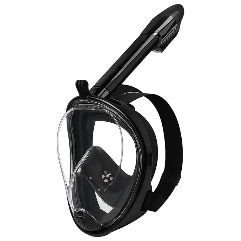 PULIAN Full Dry Snorkel & Dive Mask Set