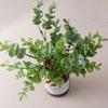 UV Resistant Artificial Eucalyptus Bouquet Lifelike Simulation Green Plants  Home Decoration