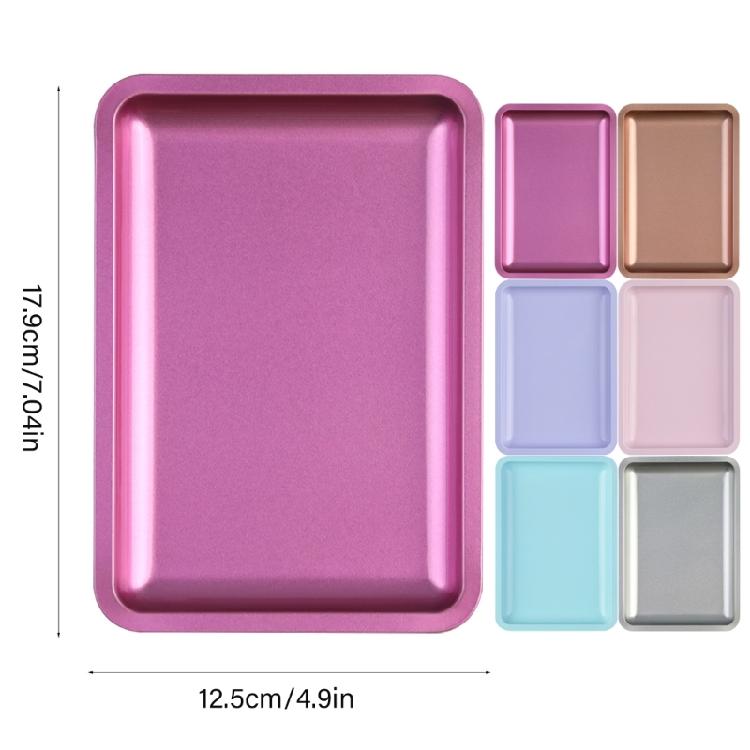 Nail Technician's Essential Stainless Steel Storage Organizer Tray Stylish and Sturdy Dental Tray False Nails Dish Tools