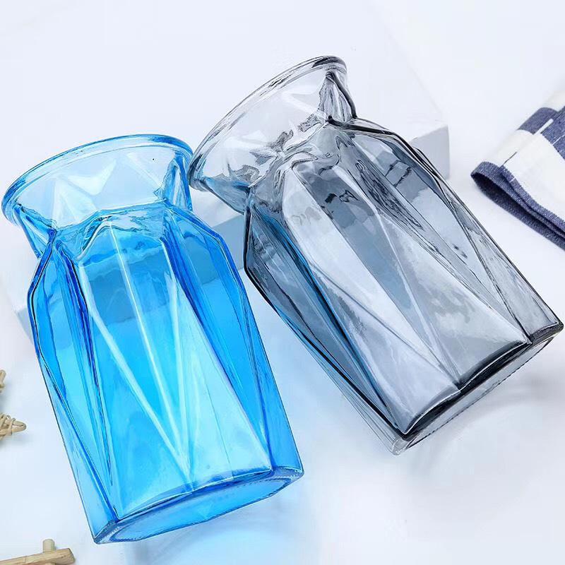 Modern European Glass Vase for Fresh or Dried Flowers - Hydroponic Desktop Ornament