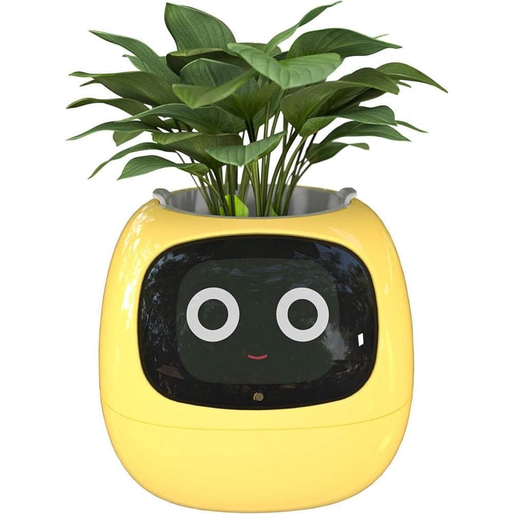 Ampull Ein Efeu Smart Topfpflanzen Pflanzen wachsen Knstliche Intelligenz  Chips gnstig kaufen  Preis, kostenloser Versand, echte Bewertungen mit  Fotos  Joom
