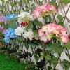 3-Koppige Zonne-Hortensia Bloemen Tuinlamp met Kleurrijke LED's Waterdichte Buiten Paallamp voor Tuin Terras Pad Energiebesparende Feeën Decoratie voor Gazon