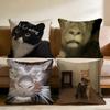 memes1 Cushion Cover Multi-Scene Pillow Cover for Home & Car - Reversible, Soft & Durable for Daily Use