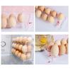 6/10 Holes Egg Storage Container Refrigerator Holder Display Organisers