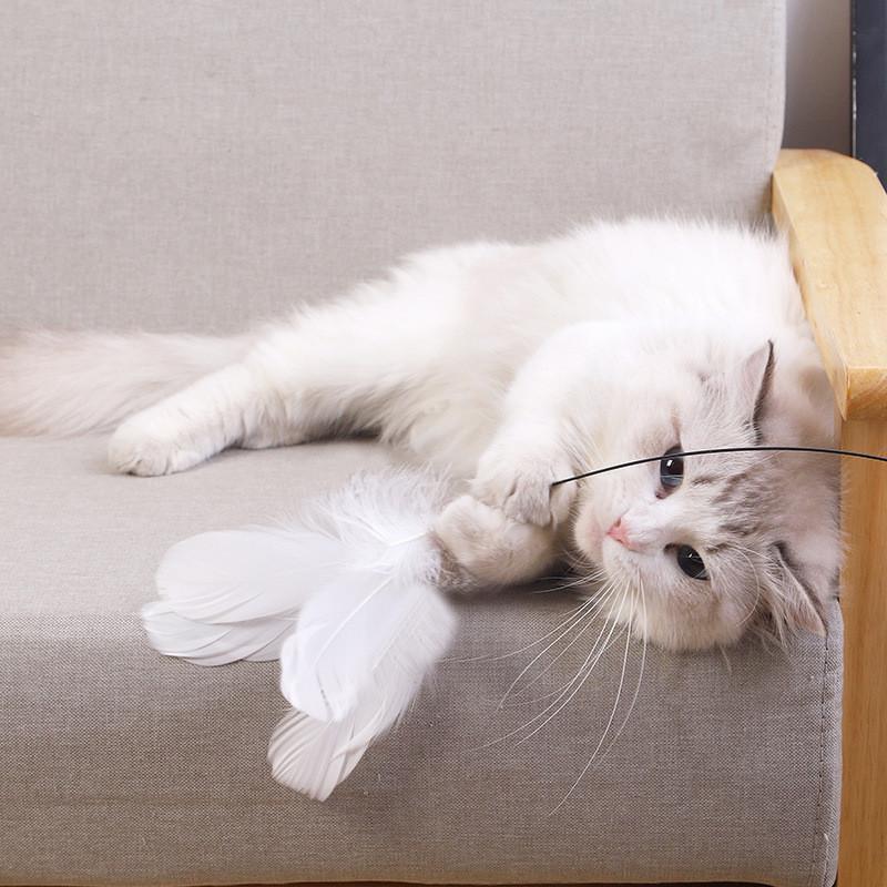 Cat Toy Feather Wand With Steel Wire For Stimulation And Exercise