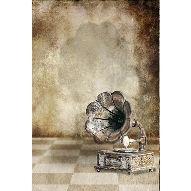 Vintage Phonograph Bild Gemälde für Wohnkultur Retro Musikalische Kunst Poster An Der Wand Rahmenlose Schlafzimmer Dekor Kein Rahmen