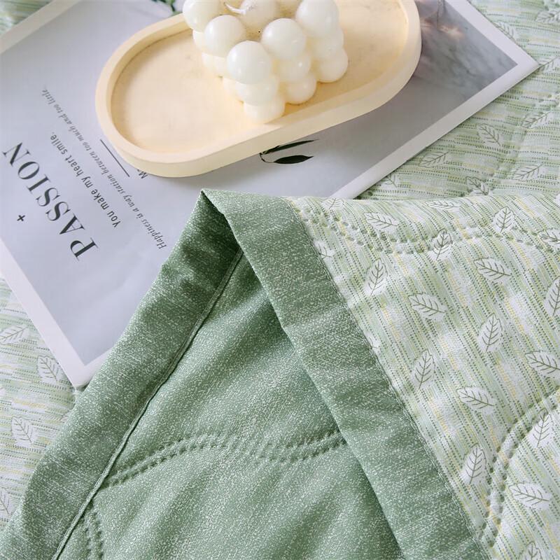 Muxinzi Artemisia Antibacterial Summer Quilt