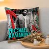 Cushion Cover  Linen  SkinFriendly Soft Decorative Case For Sofa Home Decor Singer MMichael KKiwanuka Pillow cover