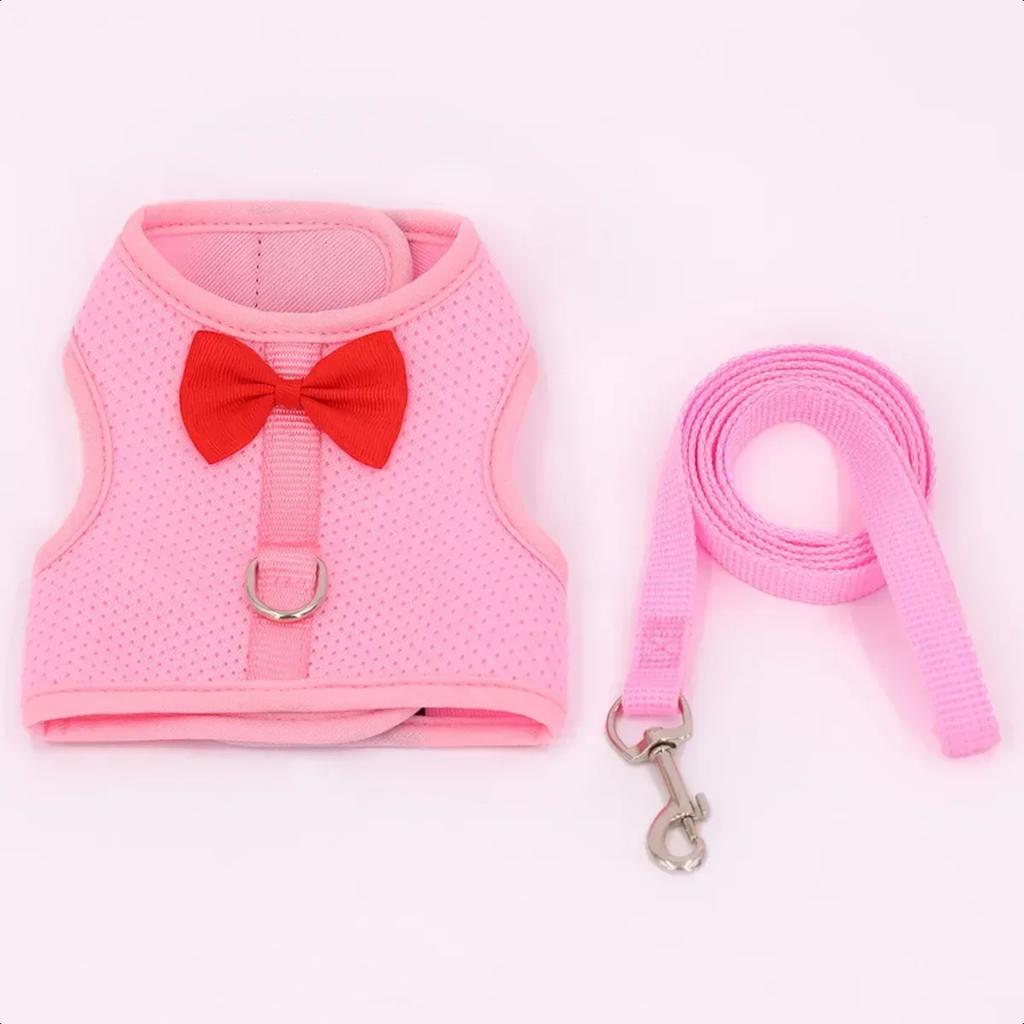 New Stylish and durable adjustable chest back pet lead rope for outdoor walks - Comfort and security for small pets like Golden