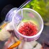 Aquarium Decoration Plant Cup Pot Acrylic Waterweed Cup with Suction Holder Mini Gardening Vase Red Worm Feeder For Fish Tank