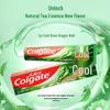 Colgate Ice Fresh Toothpaste Family Pack