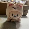 Skzoo New Plush Cartoon Doll Party Pose Doll Party Pendant Fang Can Felix Wearing Hat Cute Keychain Surrounding
