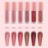SAM SUGAR 6 Colors Glossy Lip Gloss Set Matte Velvet Waterproof Long Lasting Non-Stick Cup Nude Red Liquid Lipstick Makeup Kit for Women Cosmetics