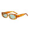 JYL TS Sunglasses Square Small Frame UV Driving/3947