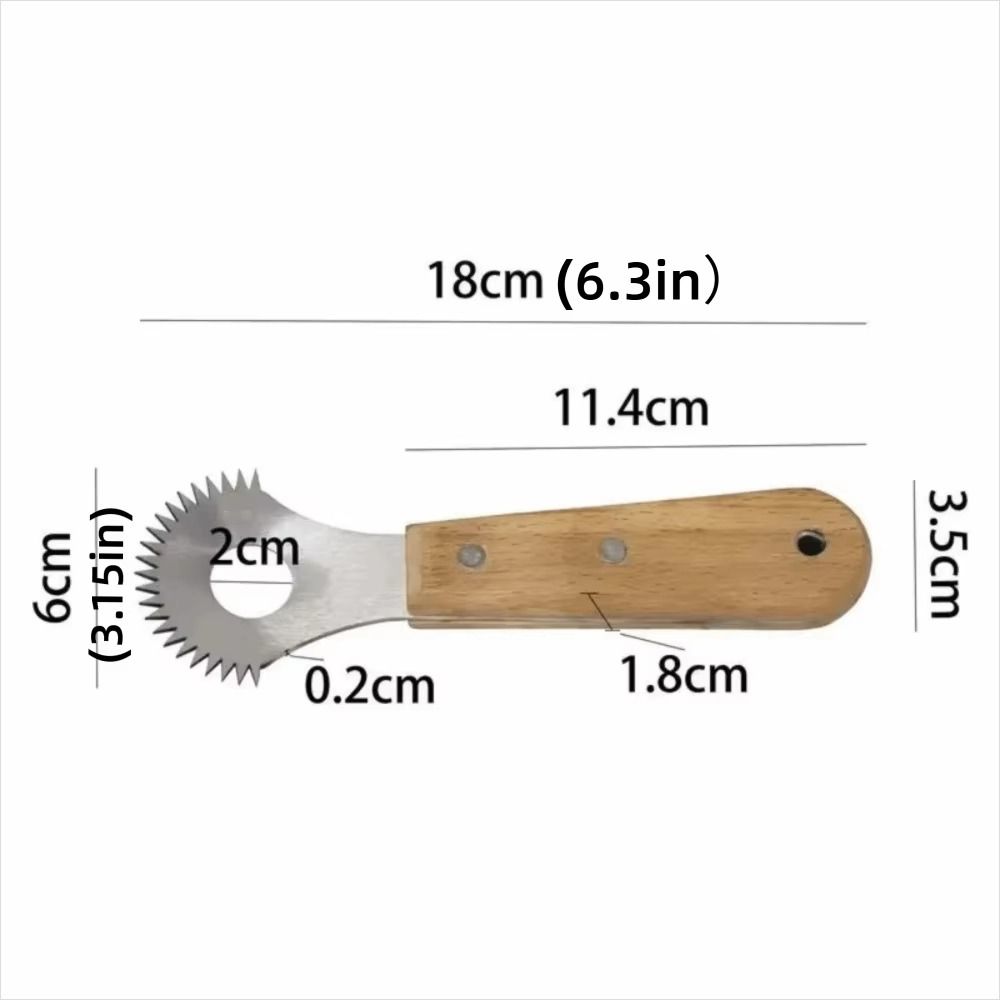 Stainless Steel Coconut Planer Sharp Coconut Grater Fruit Spoon Planer  Fresh Coconut Meat