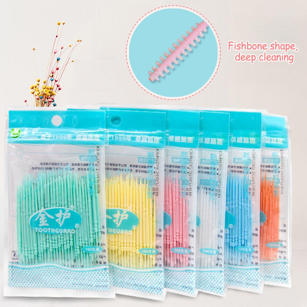 100 pièces Fil dentaire double tête Cure-dents interdentaires Bâtonnets pour les dents Nettoyage des dents Soin bucco-dentaire Brosse interdentaire