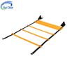 Ruichun Agility Training Ladder