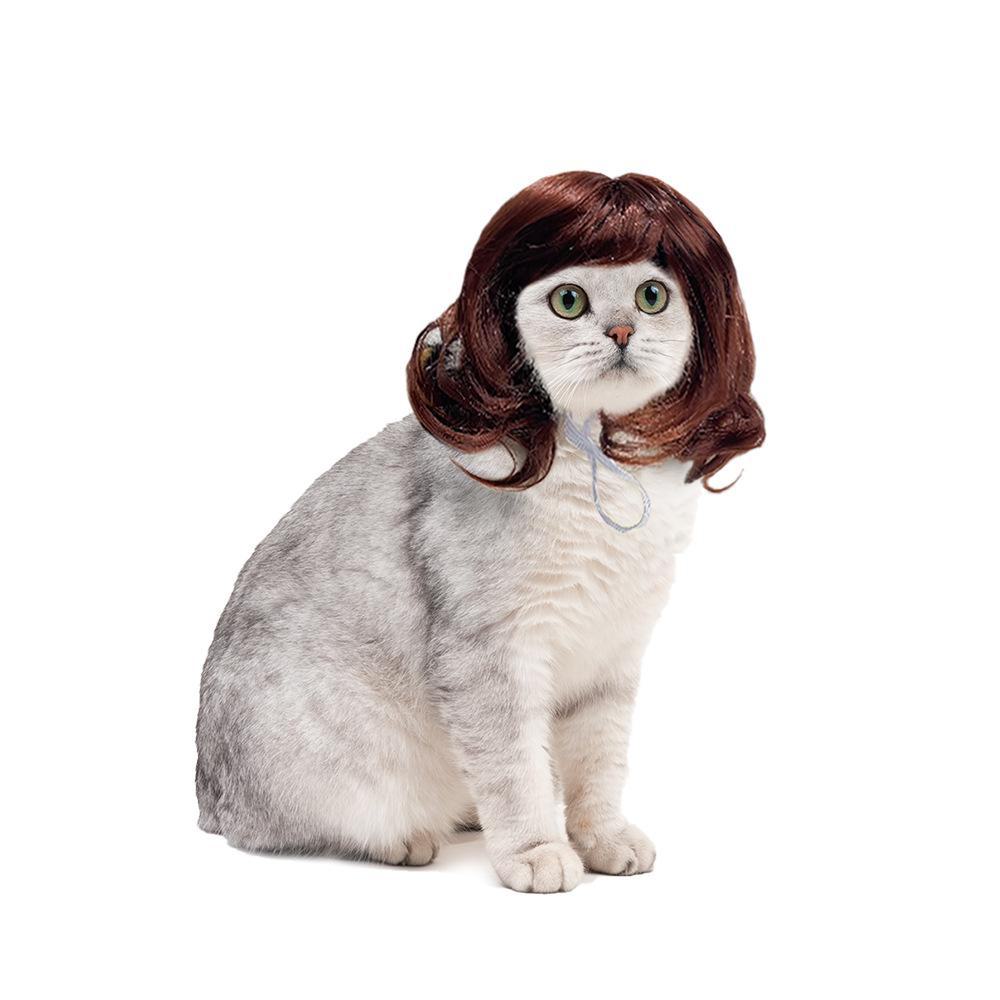 Holiday Party Pet Wig: Long Curly Cat Hairpiece