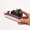 Blackberry Triangle Cake Slice Refrigerator Magnet Ornament - Fake Dessert Shop Decoration