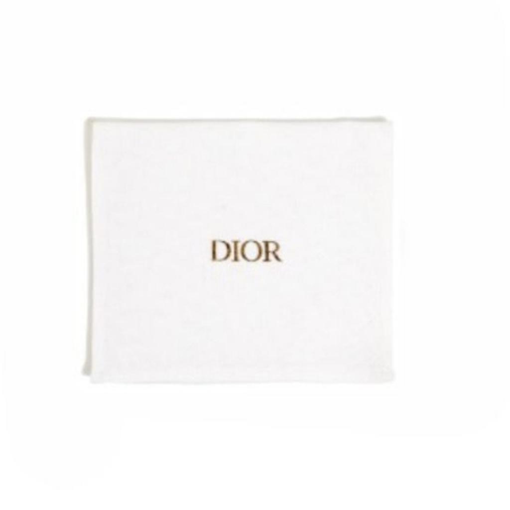 Dior Personality Fashion Earrings Women earrings Gold E2086WOMRSD301