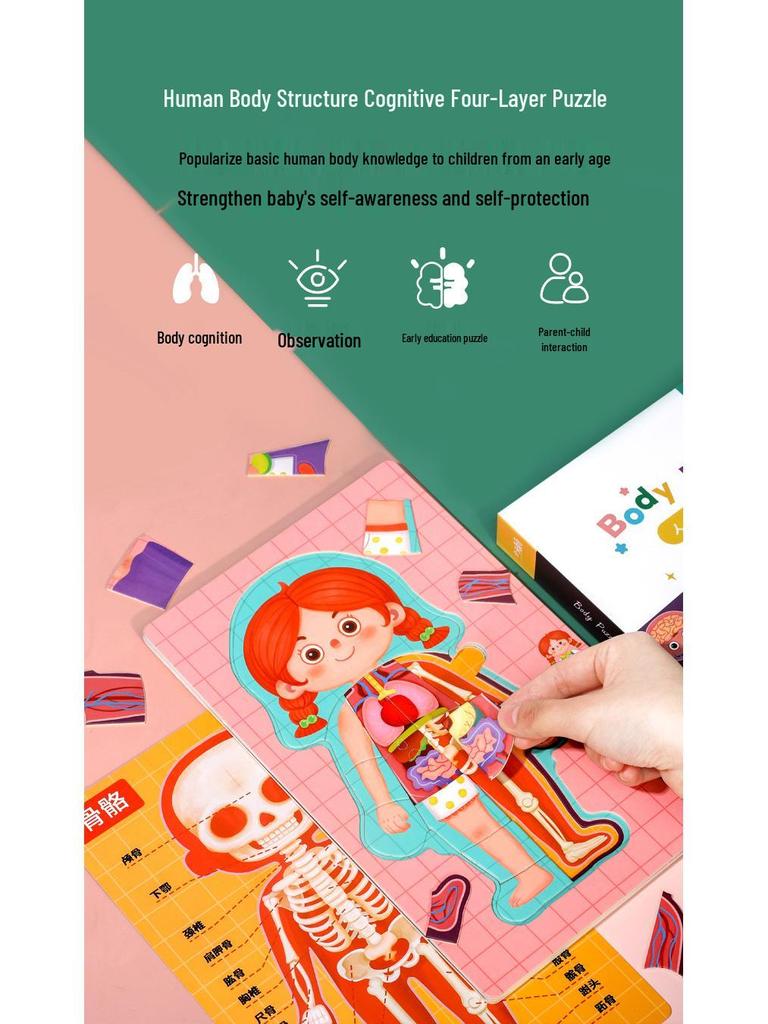 Cartoon Body Puzzle: Fun Educational Toy for Children's Cognitive and Concentration Development