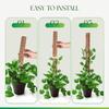 Sturdy Plant Support Stakes 30/40/50cm Coir Totem Poles Practical Moss Sticks  Potted Plants