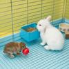 Wall Mount Bunny Hay Feeder Detachable Hamster Hanging Bowl Practical Rabbit Hanging Feeder  Travel