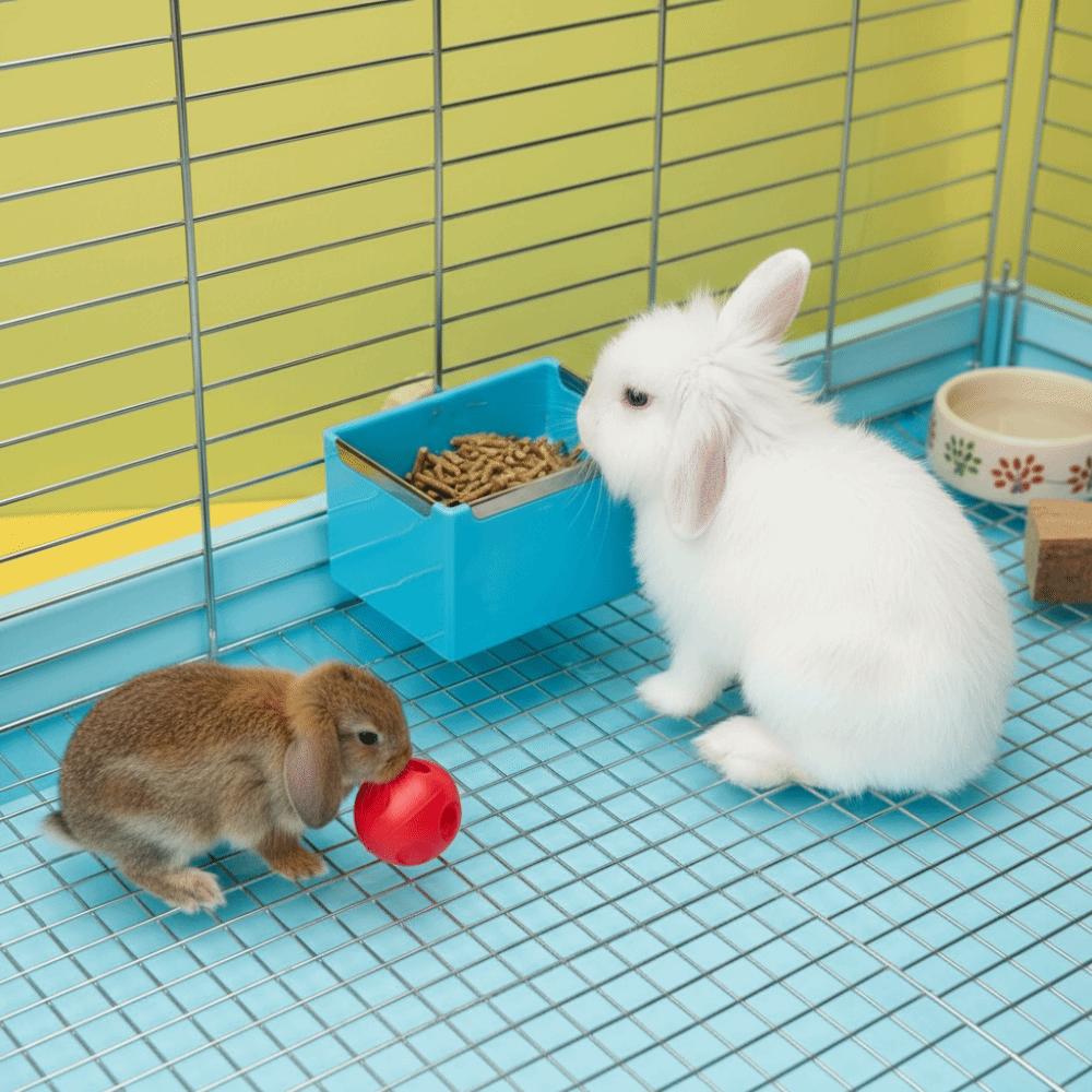 Wall Mount Bunny Hay Feeder Detachable Hamster Hanging Bowl Practical Rabbit Hanging Feeder Travel