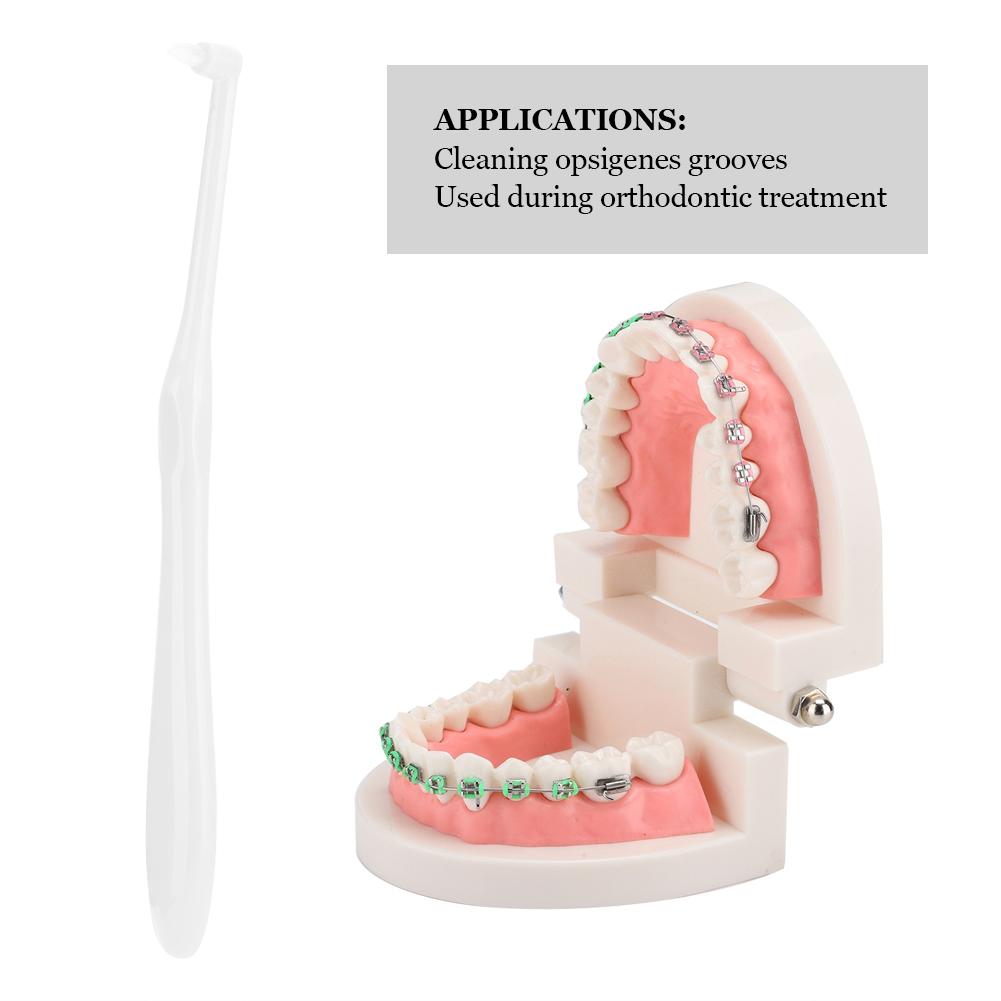 3pcs Orthodontic Toothbrush Small Head Teeth Braces Dental Cleaning ToothbrushWhite