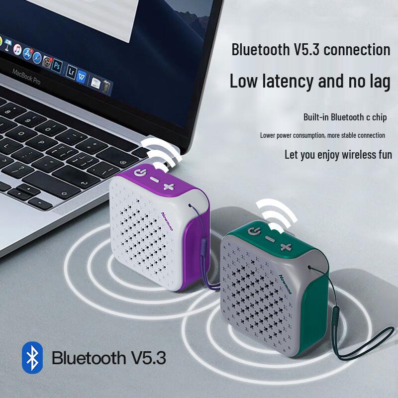Newman PBS001 Portable Bluetooth Speaker CN plug (adapter included)