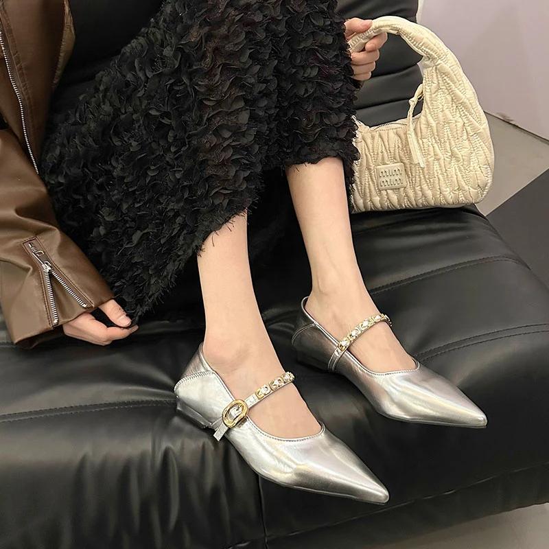 Designer Vintage Women Mary Jane Shoes Pointed Toe Shoes Laides Comfort Dress Street Style Low Heel Shoes