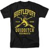 Harry Potter Hogwarts Houses Quidditch Team Unisex Adult T Shirt