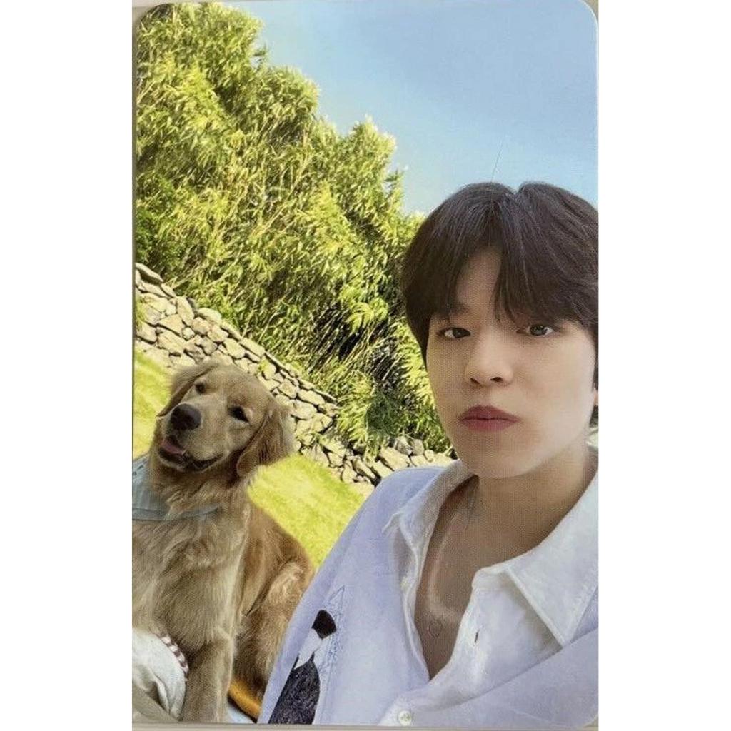 Stray Kids Stay In STAY In JEJU JYP SHOP SKZOO STORE OFFICIAL PHOTO CARD