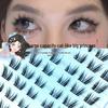 Grand Princess Cat Style Eyelashes: Natural, Realistic, Barbie Big Eyes – European American Comic Flair