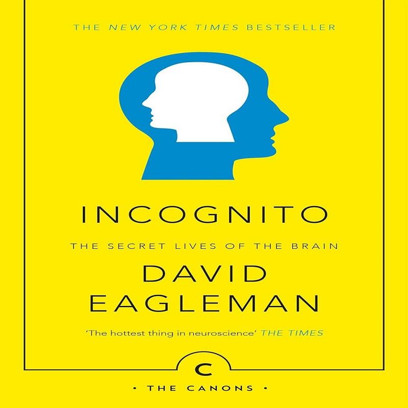 Incognito The Secret Lives Of The Brain Paperback