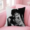Singer harris styles    Stitch Lucky Dragon pillow cover sofa cushion cover home room decoration children gift