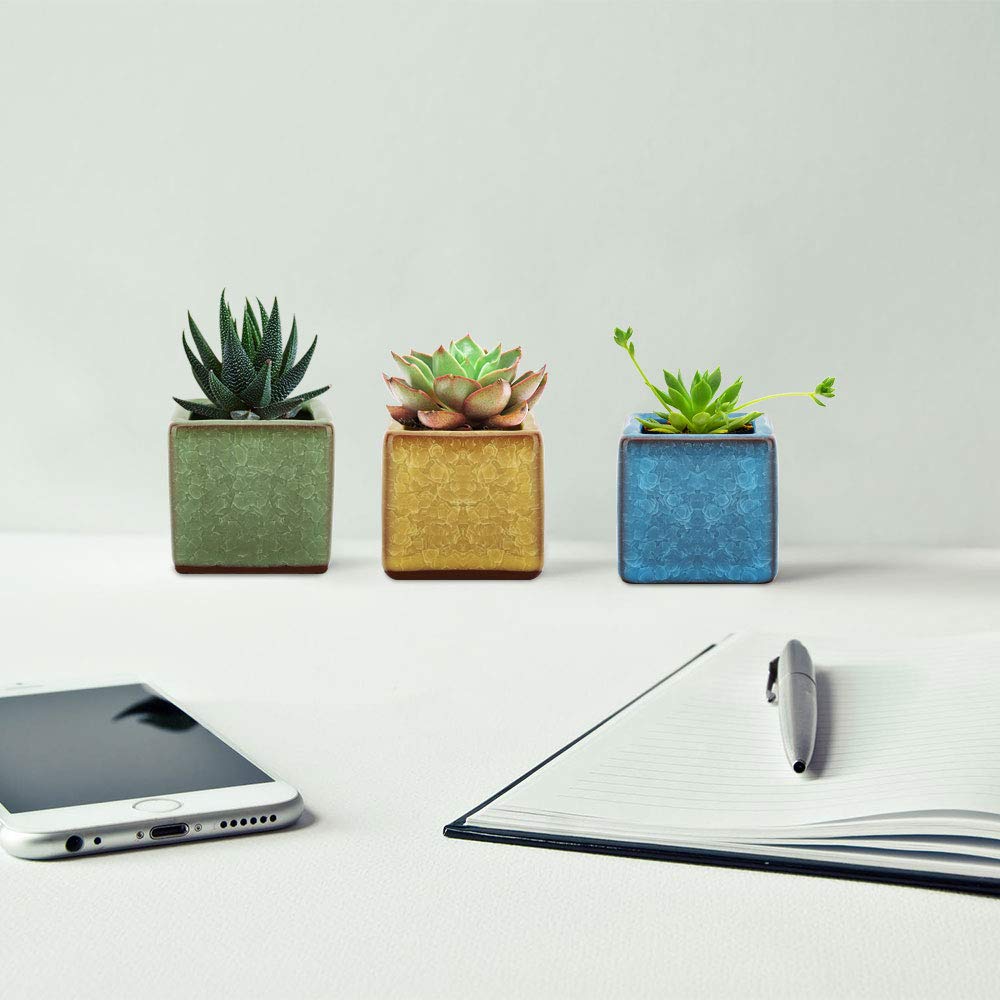 Lewondr Keramiske Plantepotter for Vindu og Miniatyrstørrelse Sett inkluderer potter SquareIceCrack 6-Deler Sukkulenter, Bonsai, Behandlinger, Planter, 2,