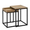 2-piece Coffee Table - LNT02N