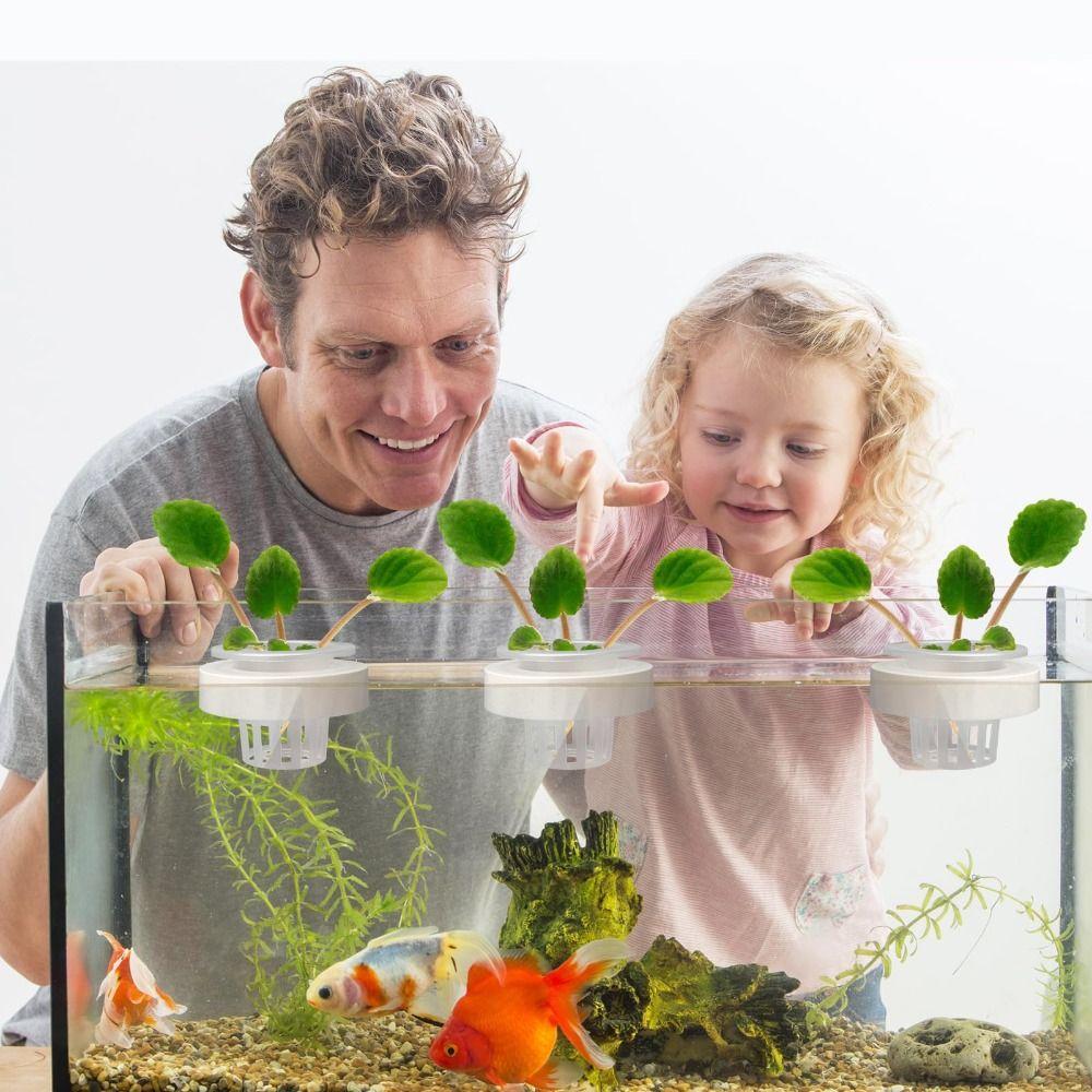 Plastic Hydroponic Planting Basket Floating Water Culture Planter Aquatic Plant Holder Aquarium