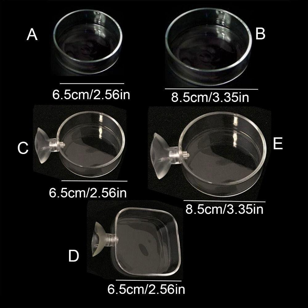 Acrylic Aquarium Feeder with Suction Cup Universal Aerial Feeding Bowl Transparent Fish Shrimp Feeding Dish
