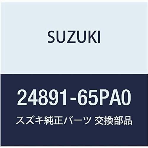 SUZUKI Genuine Parts Pipe Part Number 24891-65PA0