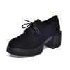 Platform Shoes Women's Spring New Black Round Head Waterproof Table Thick Heel Muffin Heel Single Shoes Four Seasons Shoes
