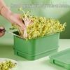 Plastic Seedling Tray for Soil-Free Sprouting – Ideal for Soybean and Mung Bean Sprouts