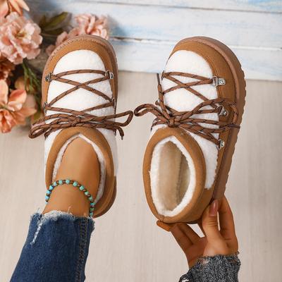 Fashion Thick Bottom Women Snow Boots 2025 New Warm Cotton Shoes Thickened Fluff Outdoor Shoes Women Round Head Short Ankle Boots Women