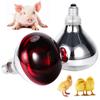 Animal Breeding Insulation Lamp E27 220V 100W-275W Large Heating Lamp Infra Red Heat Lamp Poultry Brooder Chicks Hatching Bulbs