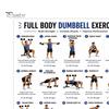 Professional Weight Training Chart 2 Pcs Dumbbell Workout Poster, Full Body Exercise Lifting Instruction Poster Wall Art, Strength Fitness Guide