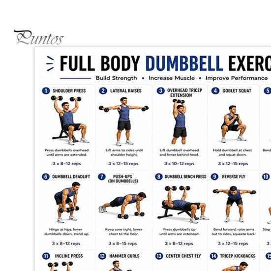 Professional Weight Training Chart 2 Pcs Dumbbell Workout Poster, Full Body Exercise Lifting Instruction Poster Wall Art, Strength Fitness Guide
