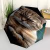 1pc animal Umbrella Portable Folding Umbrella Iron Frame Hole Bone Structure Outdoor Home Umbrella