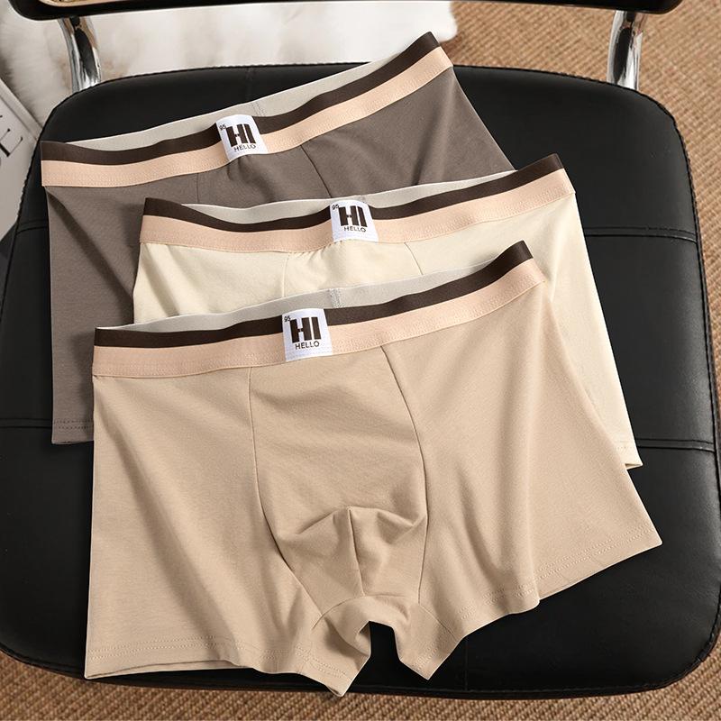 Men's Underwear Men's Youth Shorts Comfortable and Breathable Mid Waist Flat Angle Pants
